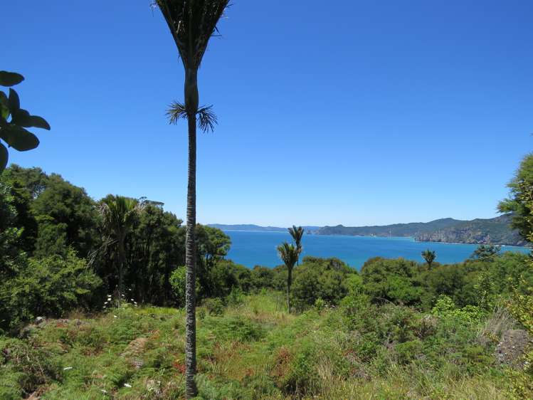 6 Boulder Bay Drive Coromandel_7