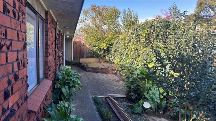 3A Morrinsville Rd 1076_13