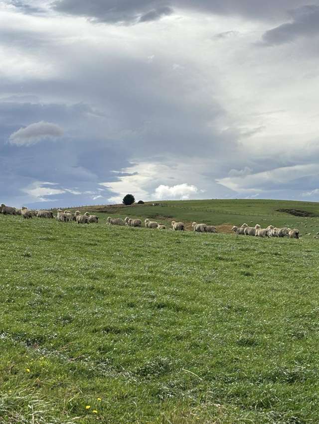 612 Oven Hill Road Lake Onslow_3