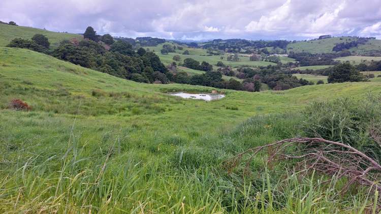 Lot/2 Wearmouth Road Paparoa_26