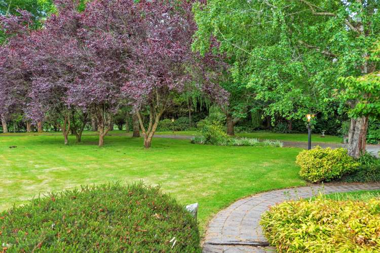 465 Old West Coast Road Templeton_34