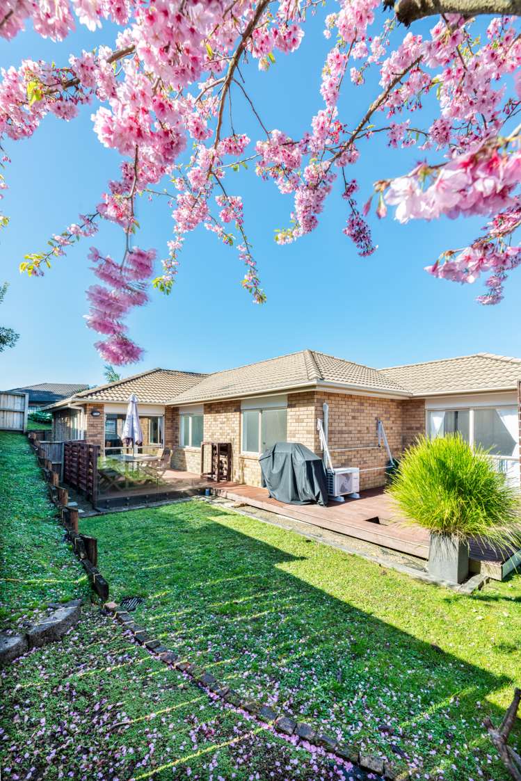 55 Helleur Road Massey_22