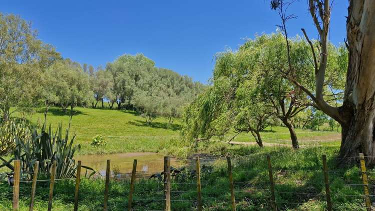 30 Kukutauaki Road Koputaroa_16