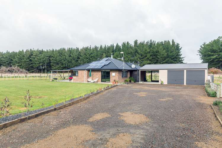 127 Palmer Road Foxton Beach_16