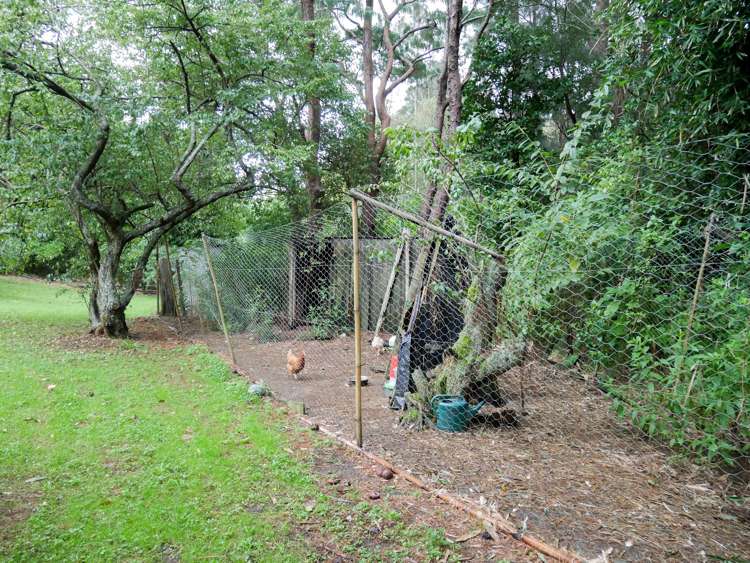 2 Scott Road Tamaterau_25