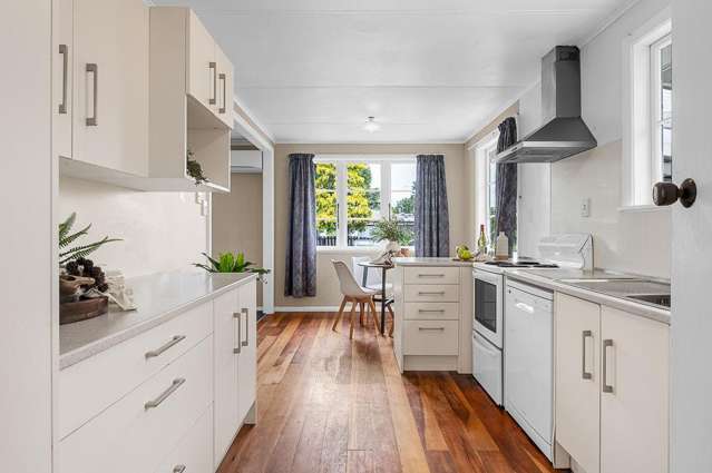 13 Nixon Street Hamilton East_2