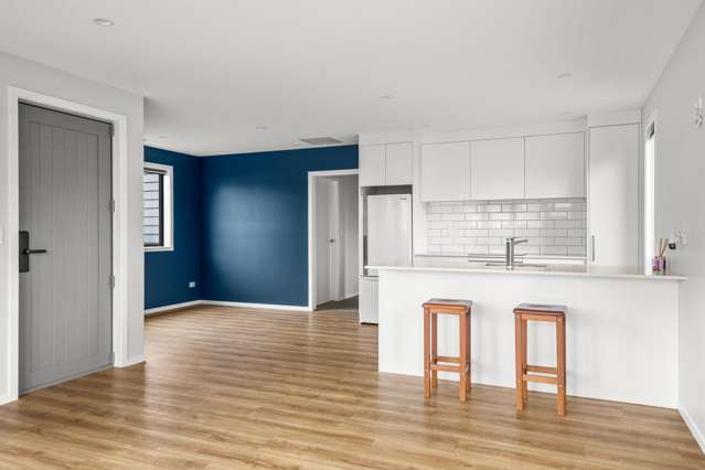34a Killarney Street Alexandra_1