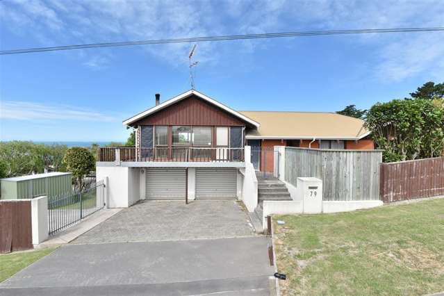 79 Major Hornbrook Road Mount Pleasant_2