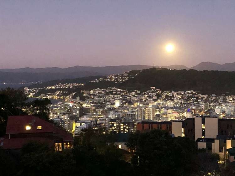 112B Kelburn Parade Kelburn_4