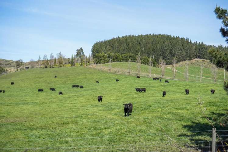 512 Karaka Road Waikari_17