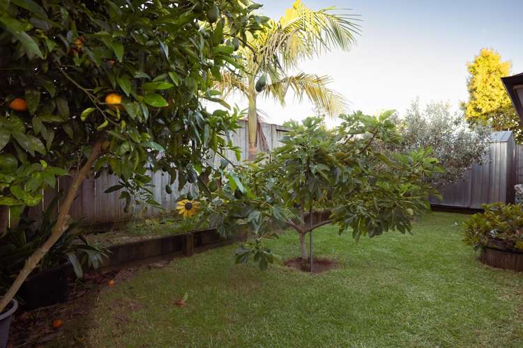 132 Puhirake Crescent Pyes Pa_17