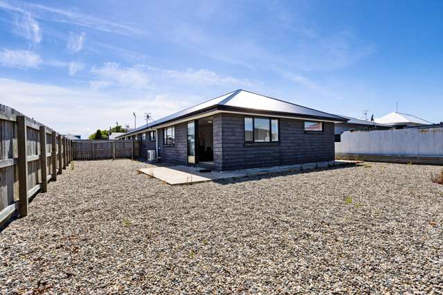 221 Teviot Street Georgetown_2