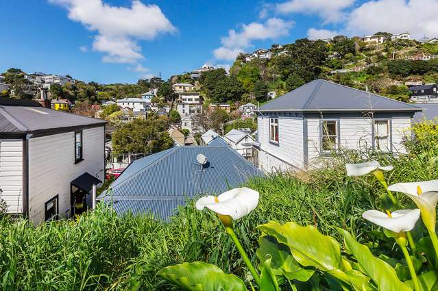 124 Aro Street Aro Valley_2