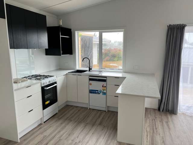 21a Patts Avenue Glendene_1