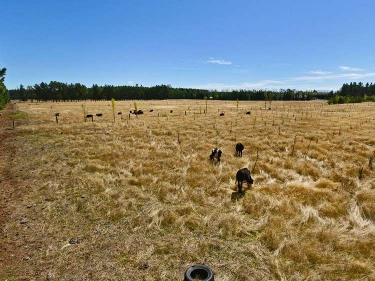 174 Karanga Road Dunsandel_5