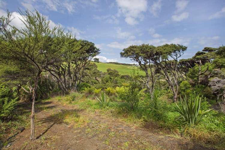 1615 Whaanga Road Raglan_22