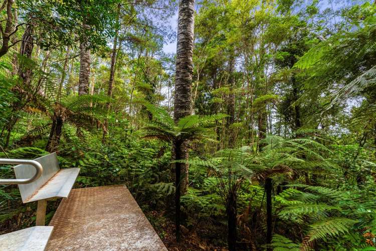 138 Mahurangi West Road Mahurangi West_33