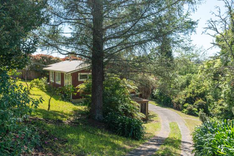 34 Acacia Crescent Glenview_13