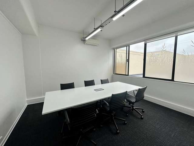 7 Windsor Street Parnell_3