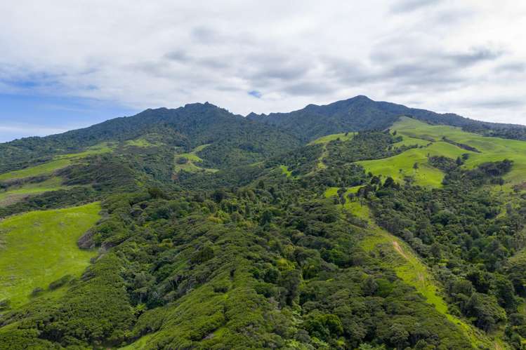 1597 Whaanga Road Raglan_2