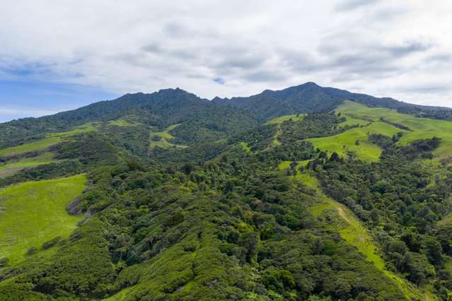 1597 Whaanga Road Raglan_2