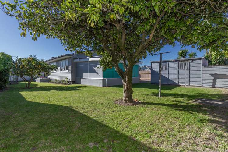 5 Dick Place Onekawa_16