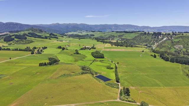 519 Main South Road Rangiwahia_3