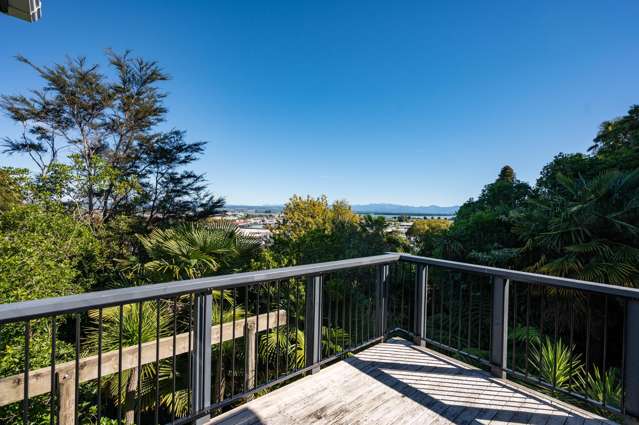 9 Maire Street Tahunanui_1