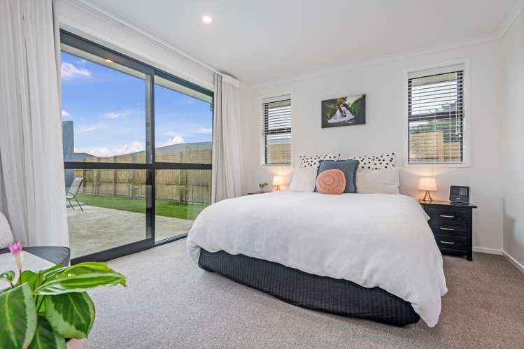 23 George Street Bulls_7