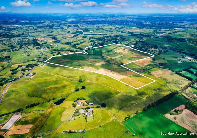 411 Tuhimata Road Paerata_5