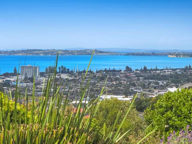 9 Maire Road Orewa_1