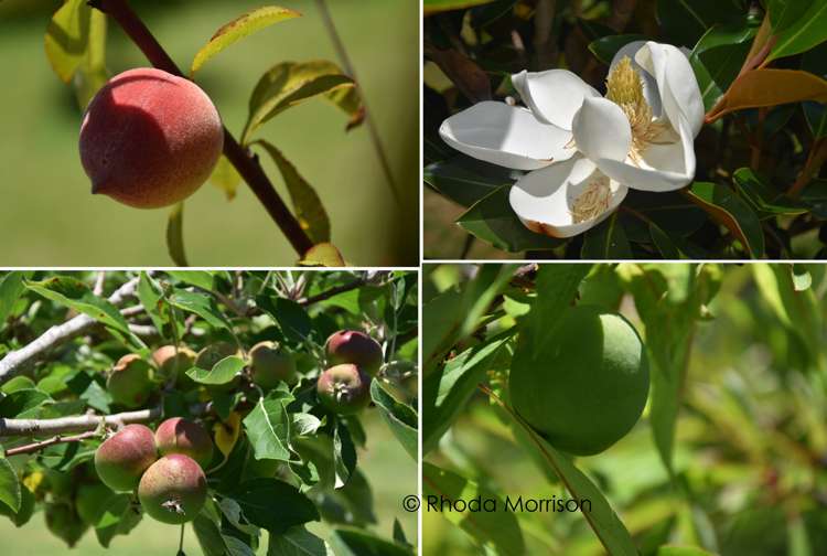 27 Hook Road Paparoa_23