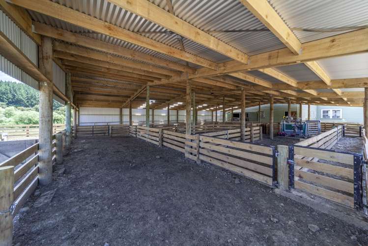 235 Otope Road Dannevirke_10