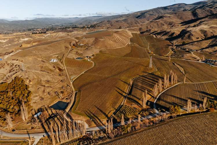 263 Felton Road Bannockburn_13