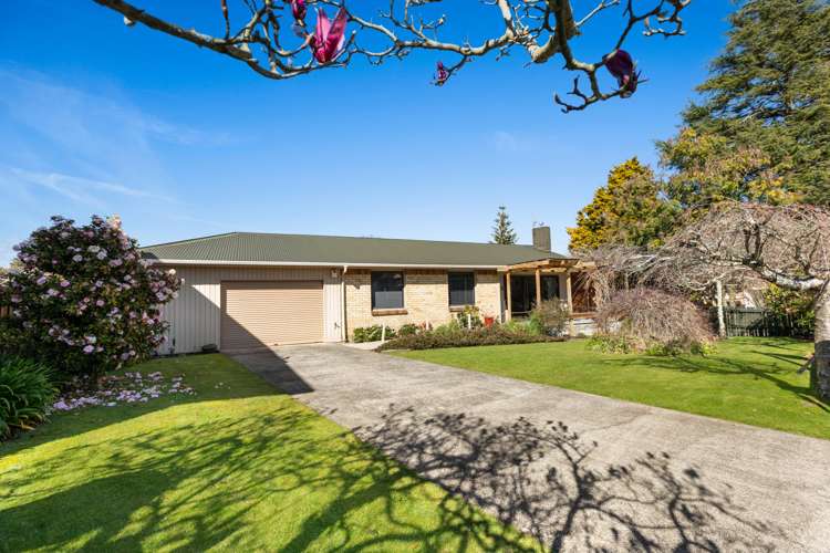 4 Osborne Avenue Morrinsville_1