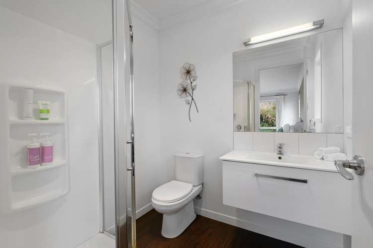 24 Homestead Lane Cambridge_12