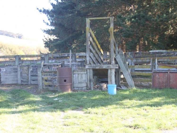 327 Bluff Rangitumau Road Rangitumau_17