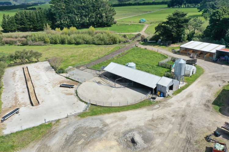 339 Mangaroa Road Eketahuna_21