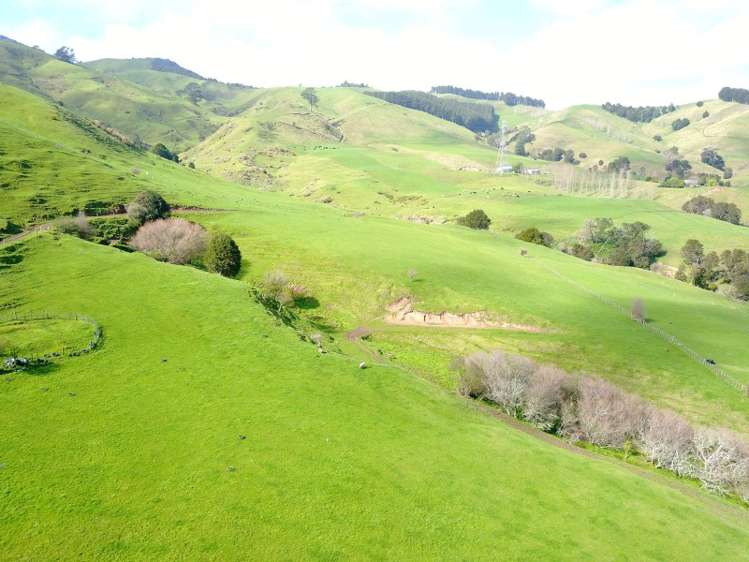 7178 State Highway 26 Paeroa_1