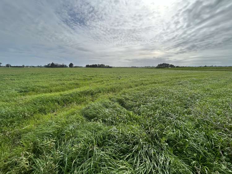 Matarikoriko Road Waitara_5