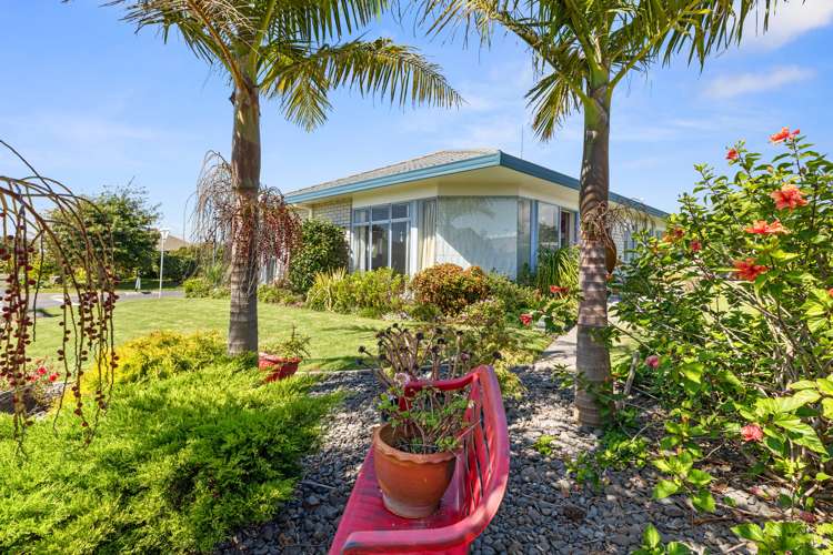 12 Kentia Avenue Mount Maunganui_17