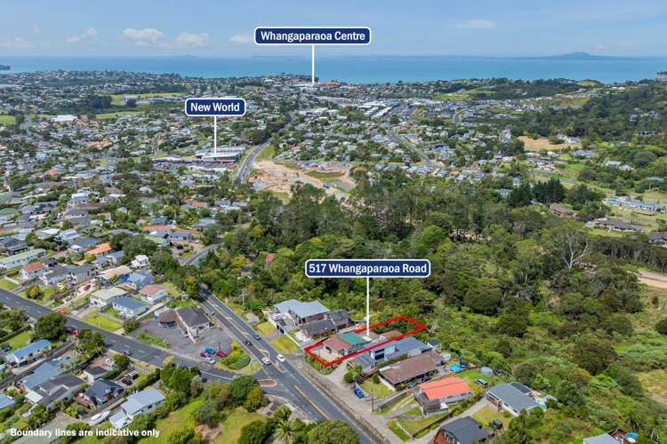 517 Whangaparoa Road Whangaparaoa_25