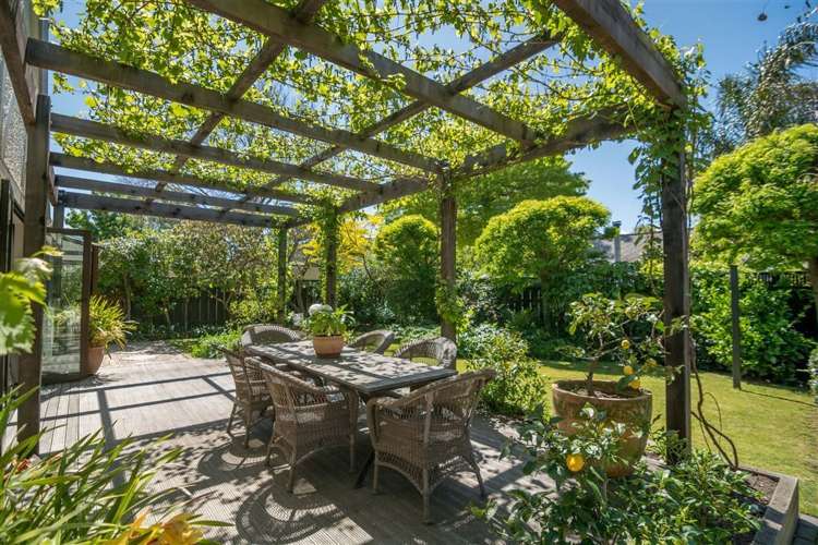 5 Harper Street Nelson City_7