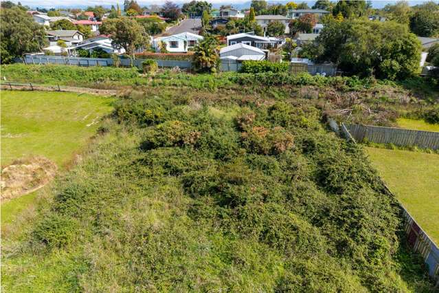 18 Mathew Street Dannevirke_2