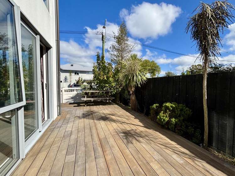 1/480 Manchester Street 1544_8