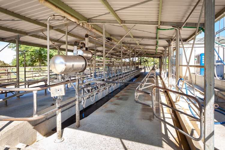 130 Chudleigh Road Waitoa_7