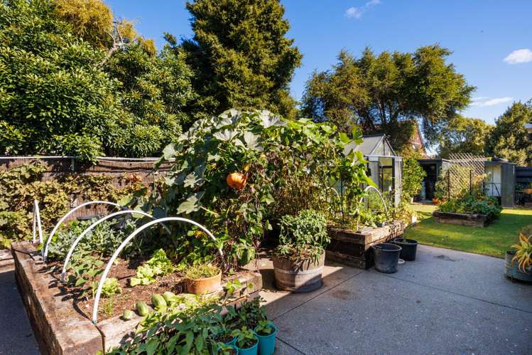 16 Mudgway Place Awapuni_20