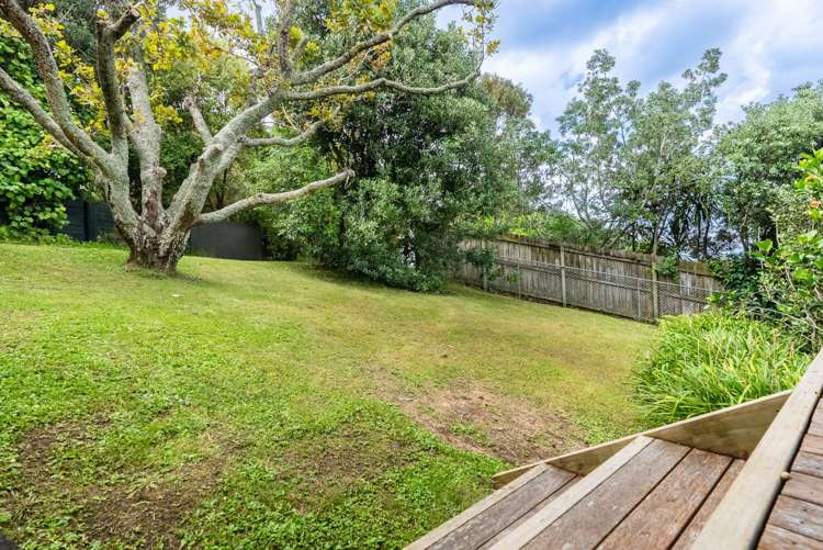 65 Frederick Street Hillsborough_20