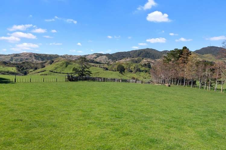 116A Hill Road Te Aroha_5