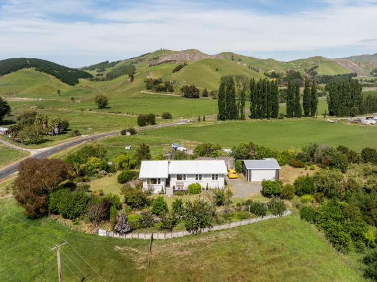 246 Seafield Road Eskdale_31